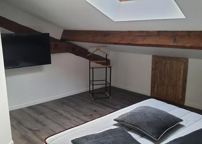 Superbe T3 Au Coeur Du Centre Apartman